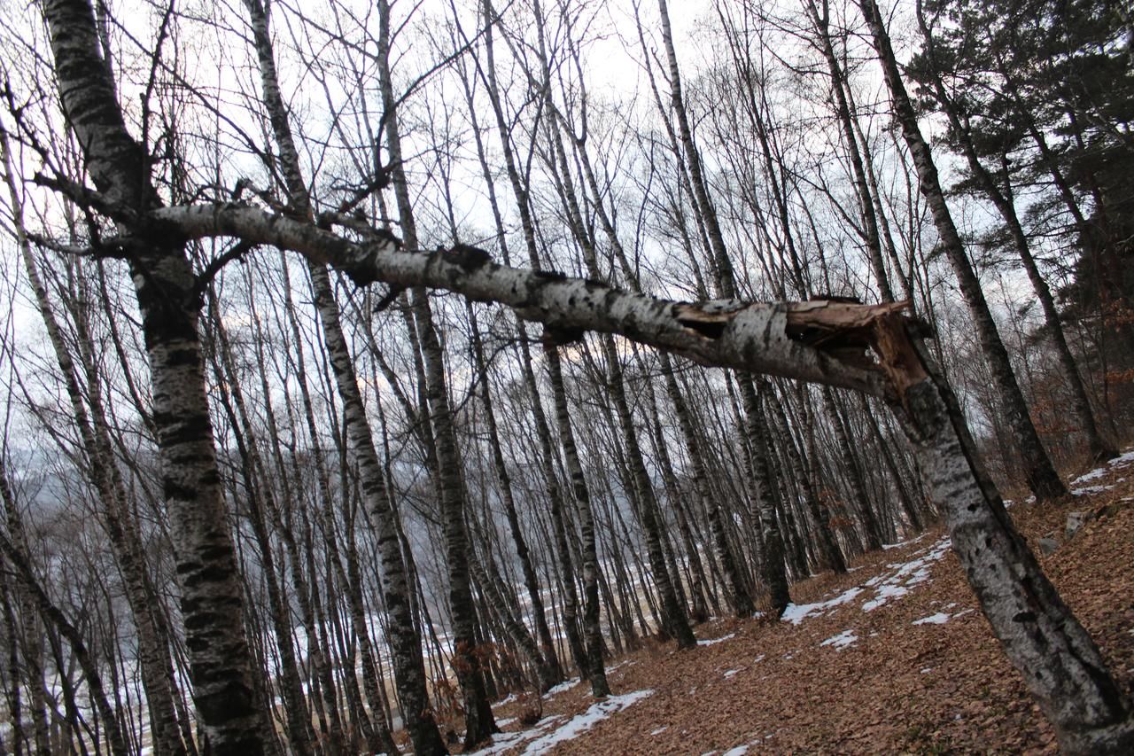 Гостевой дом Nayada Rest House Lermontovo-29