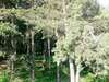 Гостевой дом Nayada Rest House Lermontovo-6