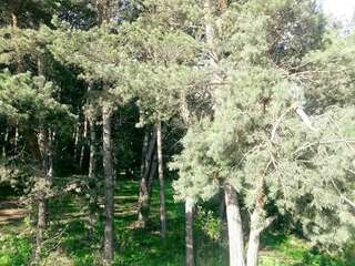 Гостевой дом Nayada Rest House Lermontovo-6