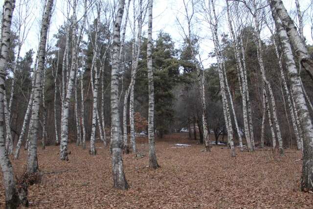 Гостевой дом Nayada Rest House Lermontovo-29