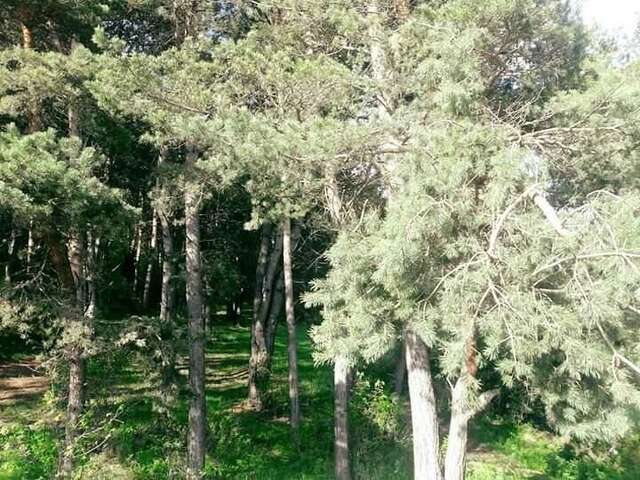 Гостевой дом Nayada Rest House Lermontovo-9